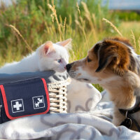 Holthaus Verbandtasche Pet Care 17 x 12 x 6 cm