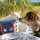 Holthaus Verbandtasche Pet Care 17 x 12 x 6 cm